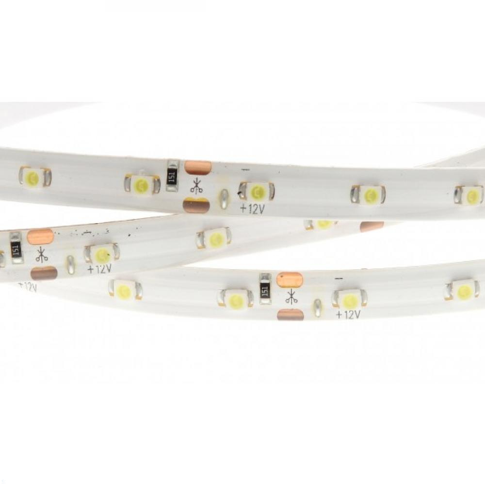 Светодиодная лента SMD3528 60Led/m 4.8W/m IP65 12V (холодный белый), 5m